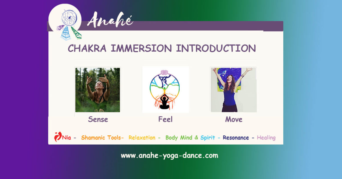 Sense, Feel & Move Your Chakra Workshop 1
