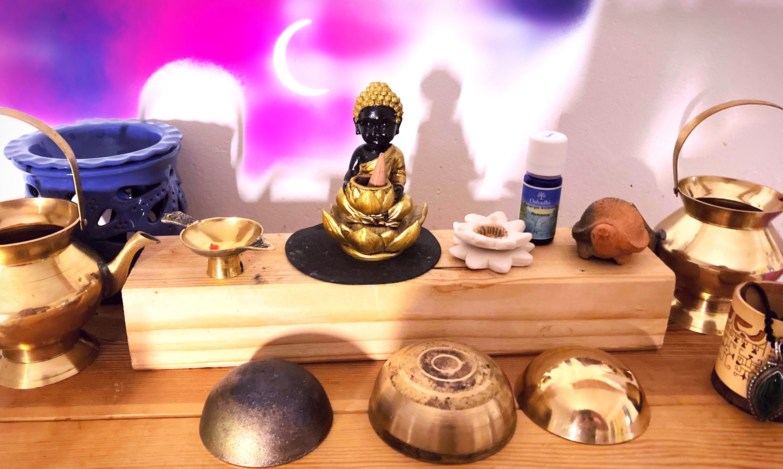 Swastha, the Ayurveda Path science de la vie L'univers Anahé