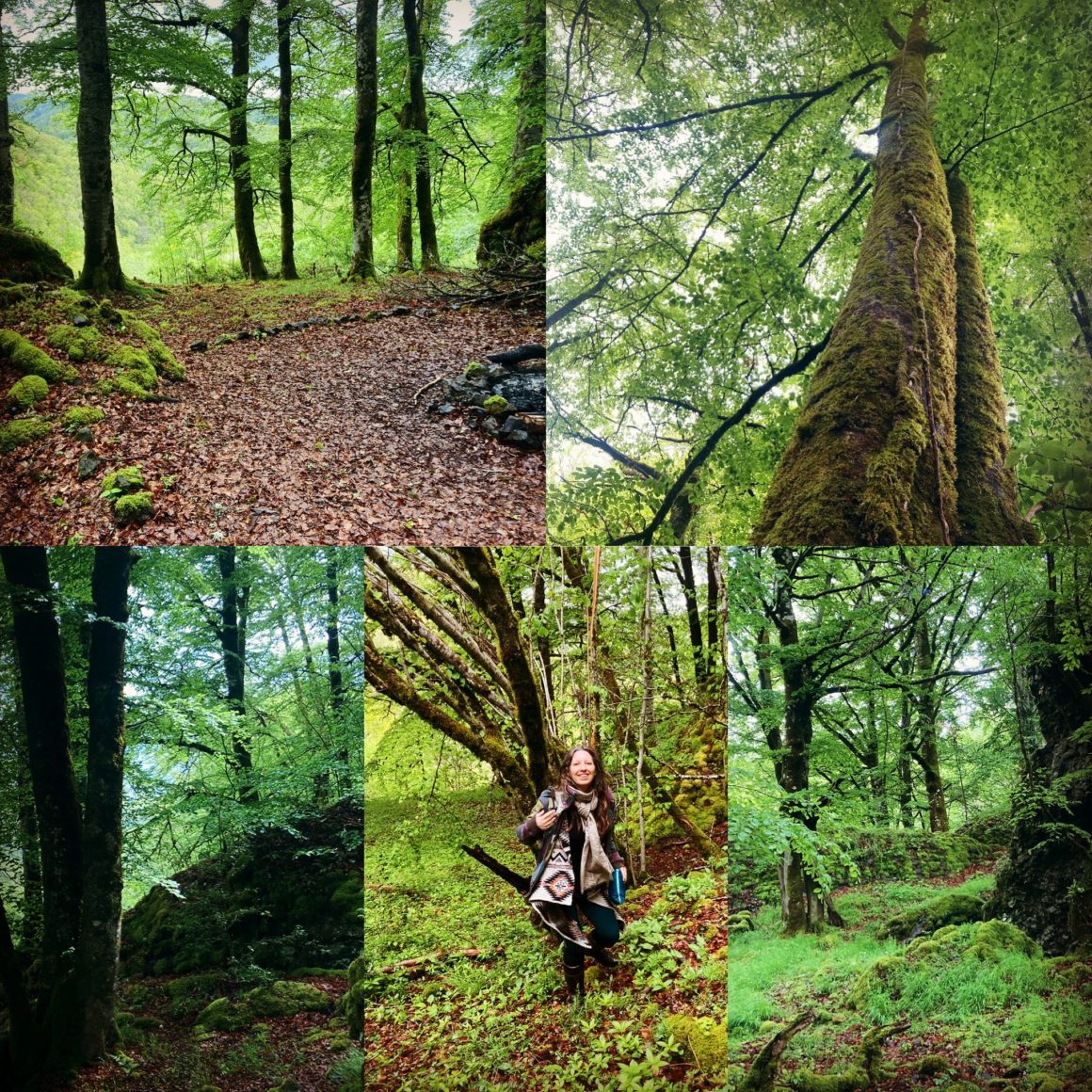 Montsalvy Retreat Montsalvy Retreat